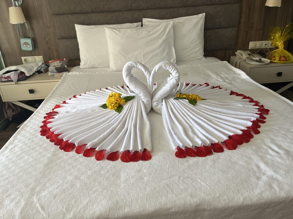 Zimmer Monachus Family Resort Sorgun