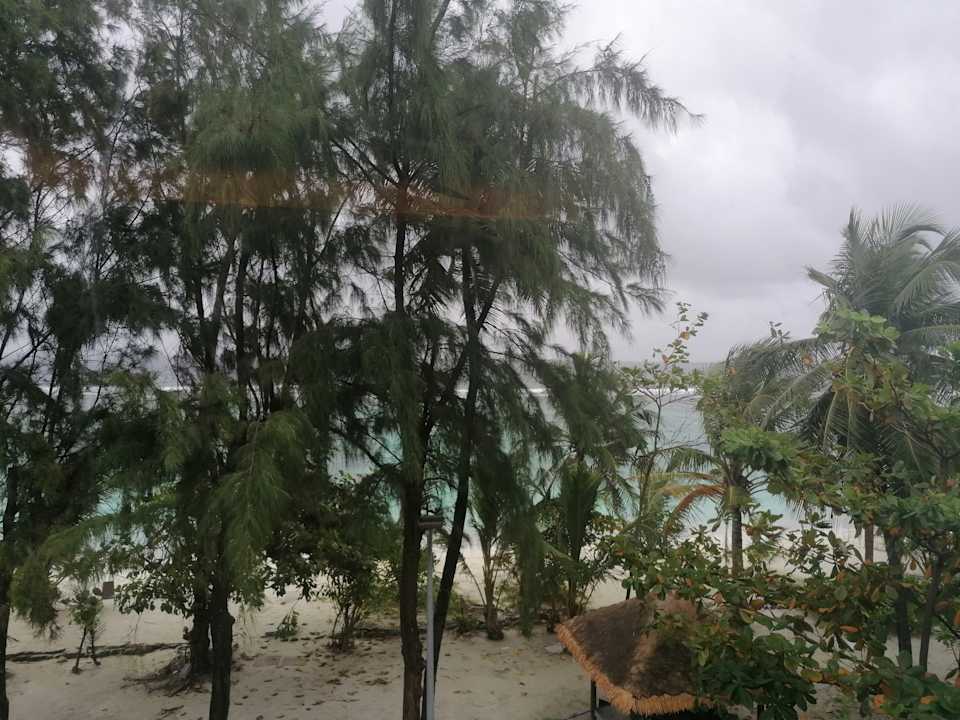 Ausblick Seasalter Maldives