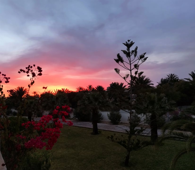 Gartenanlage TUI MAGIC LIFE Penelope Beach