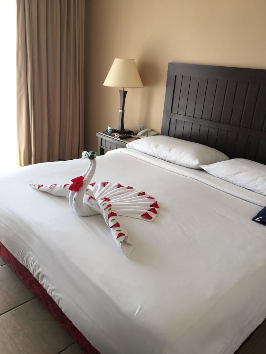 Mit Tier auf dem Bett TUI MAGIC LIFE Kalawy