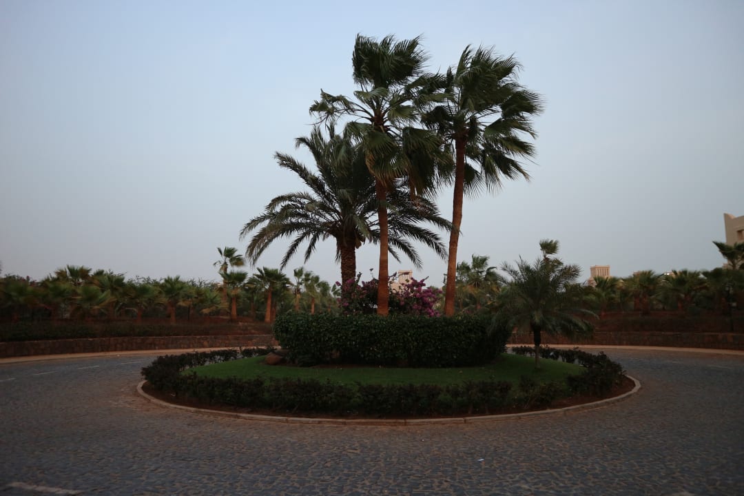 Garten Hotel Riu Touareg