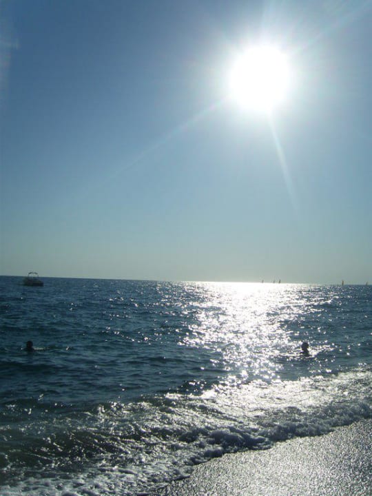 Is das nicht schön?  Asteria Collection Side