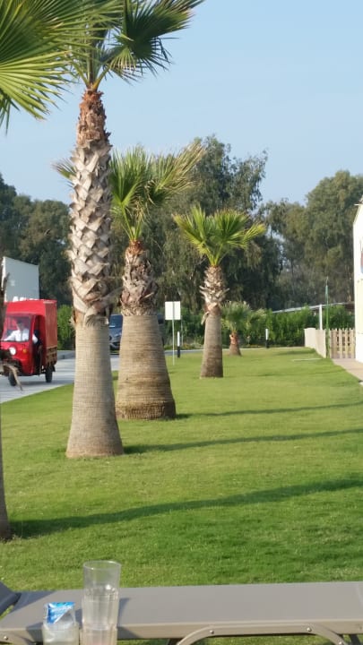 Gartenanlage Korumar Ephesus Beach & Spa Resort