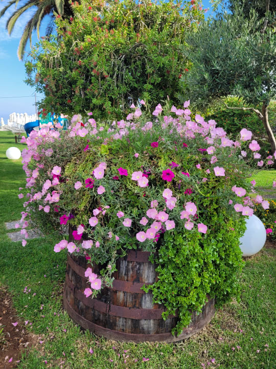 Gartenanlage Acharavi Beach Hotel