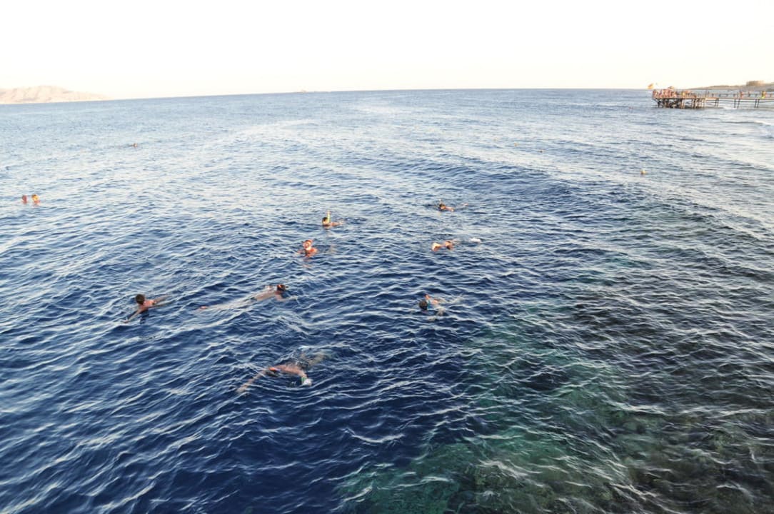 Morze Rehana Sharm Resort Aqua Park & Spa