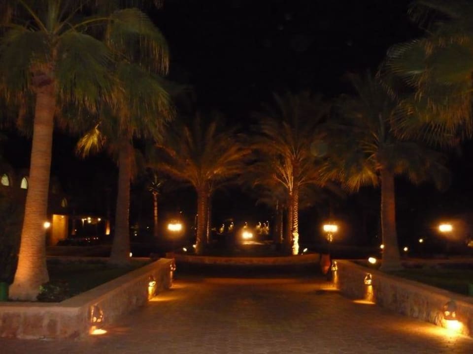 Hotelauffahrt Mövenpick Resort El Quseir