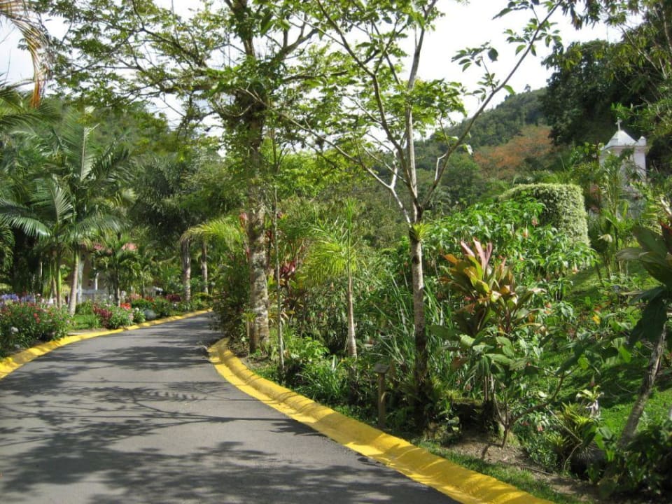 Gartennlage mit Fahrweg Hotel Rancho Perlas