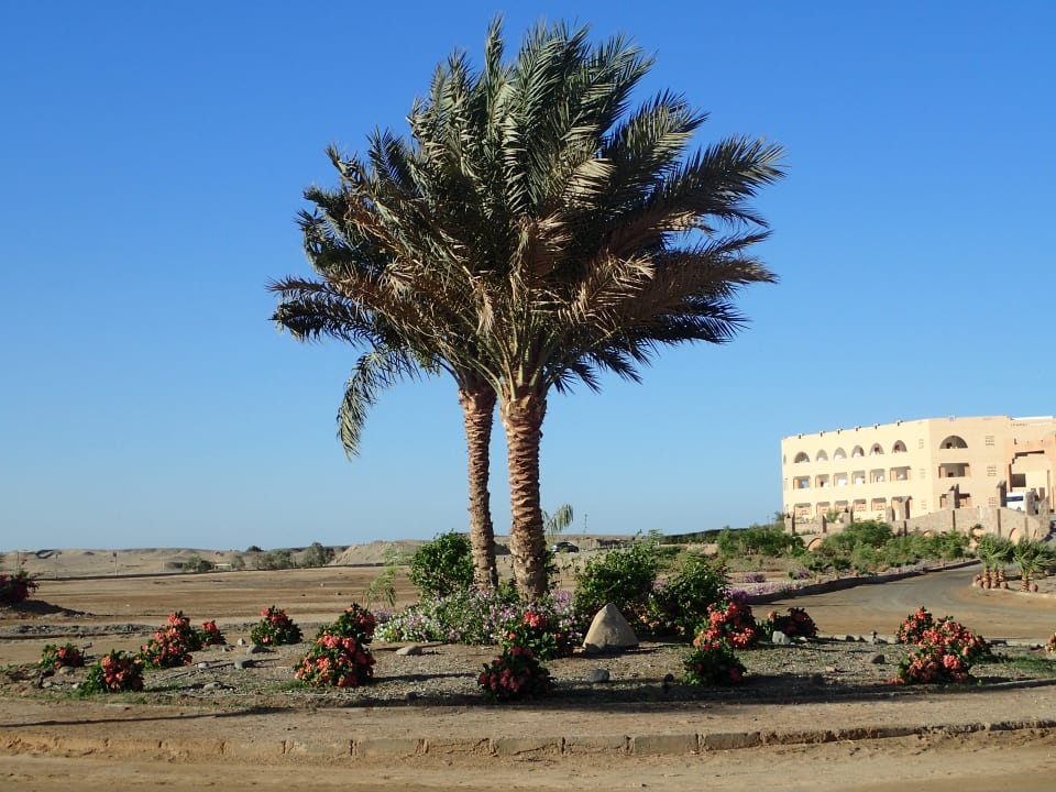 Außenansicht Three Corners Equinox Beach Resort