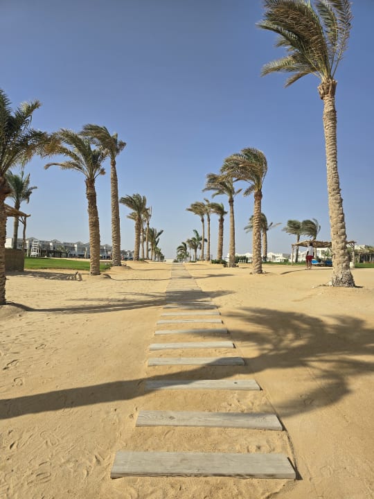 Strand Steigenberger Resort Alaya Marsa Alam - Red Sea - Adults only