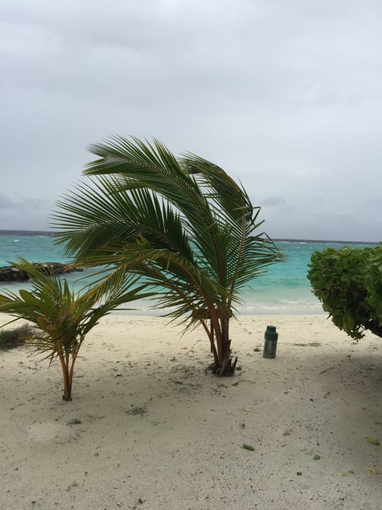 Strand Adaaran Select Meedhupparu Island Resort - Premium All Inclusive