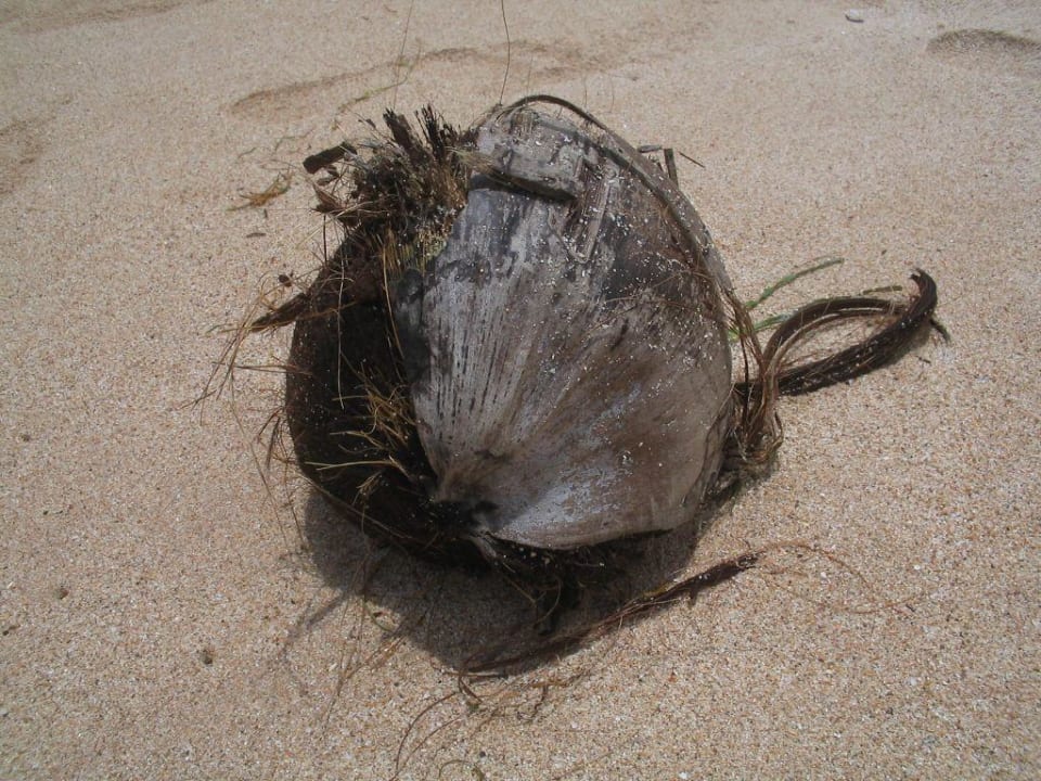 Strandfunde! Paradisus by Melia Bali