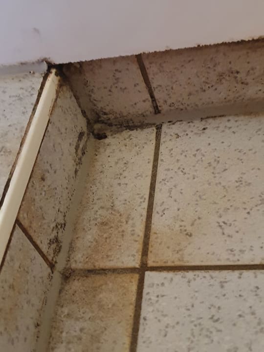 Pool Ferienhaus Hohendorf