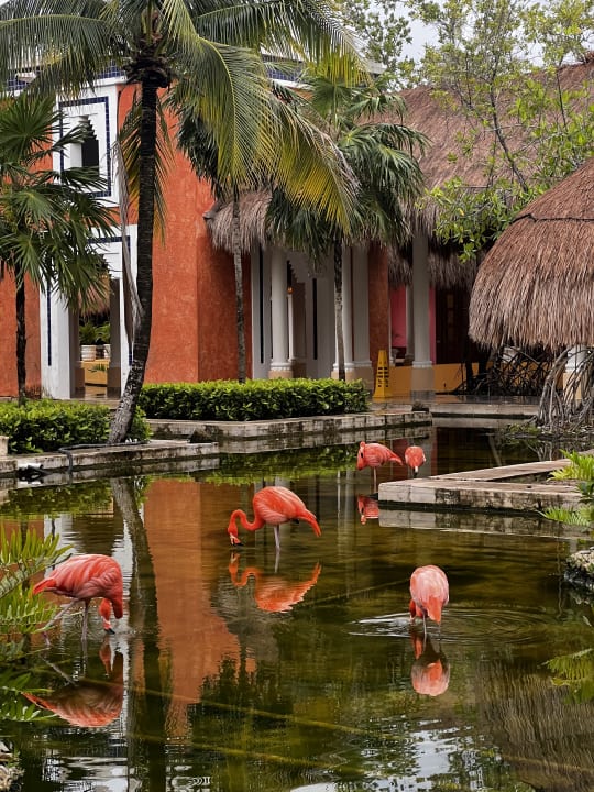 Gartenanlage Iberostar Waves Paraiso Beach