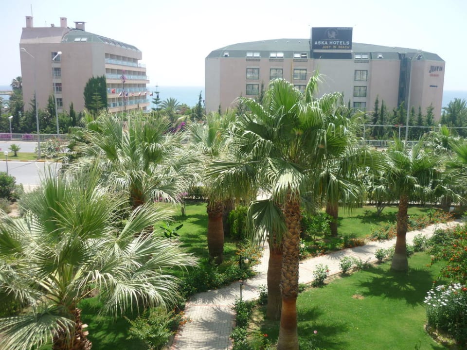 Вид из номера Aska Hotel Just in Beach