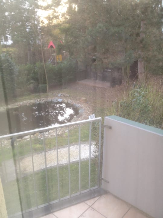 Teich im Innenhof Parkhotel Sonnenberg