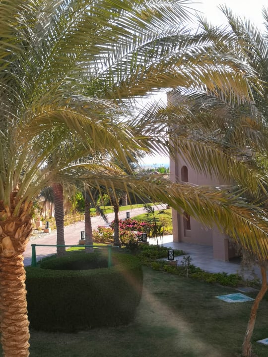 Zimmer Pickalbatros Aqua Vista Resort - Hurghada