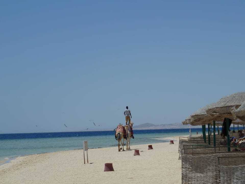 Strand Hotel Gorgonia Beach Resort