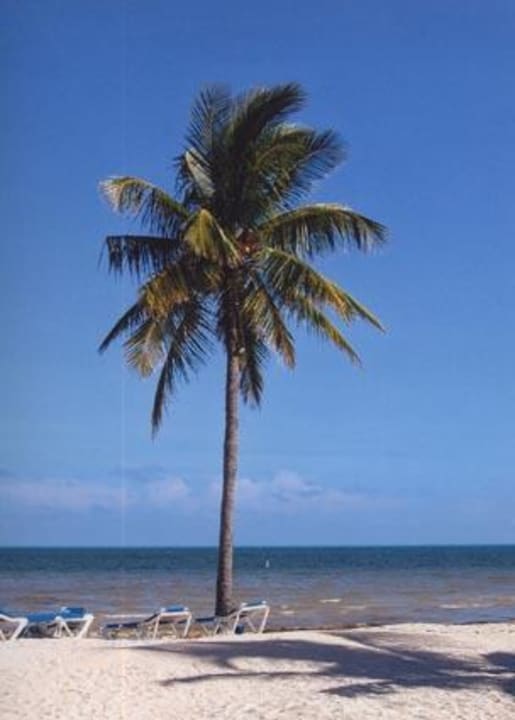 Strand Southernmost Beach Resort Key West