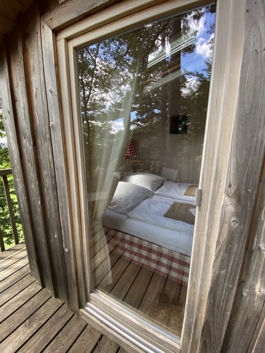 Zimmer Baumpalast Baumhaushotel Rosenberg