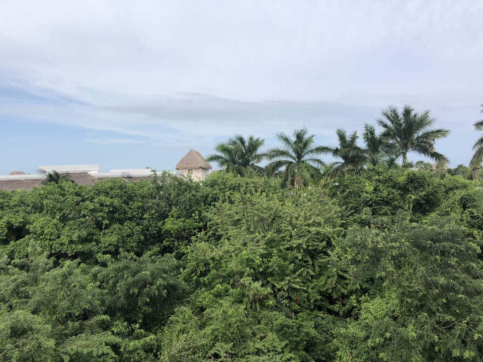 Ausblick Ocean Riviera Paradise