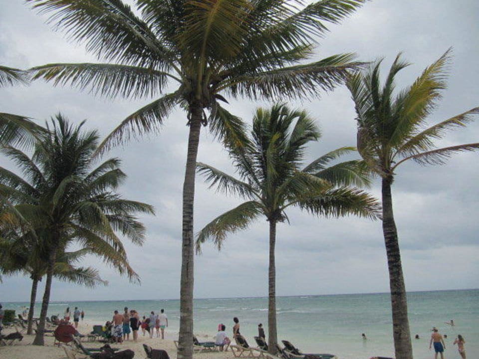 Plaża Dreams Tulum Resort & Spa