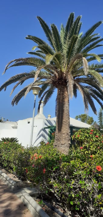 Ausblick Bungalows Cordial Sandy Golf