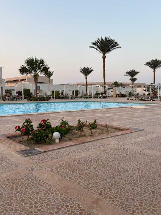 Pool JAZ Neo Reef Marsa