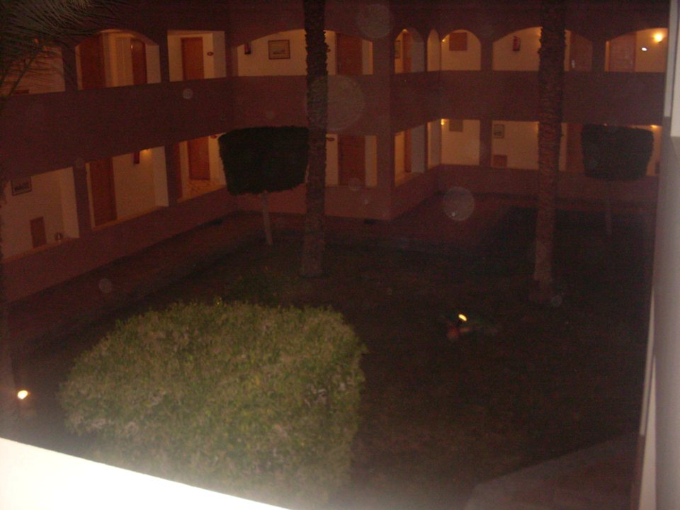 Дворик 6 корпуса Beach Albatros Resort