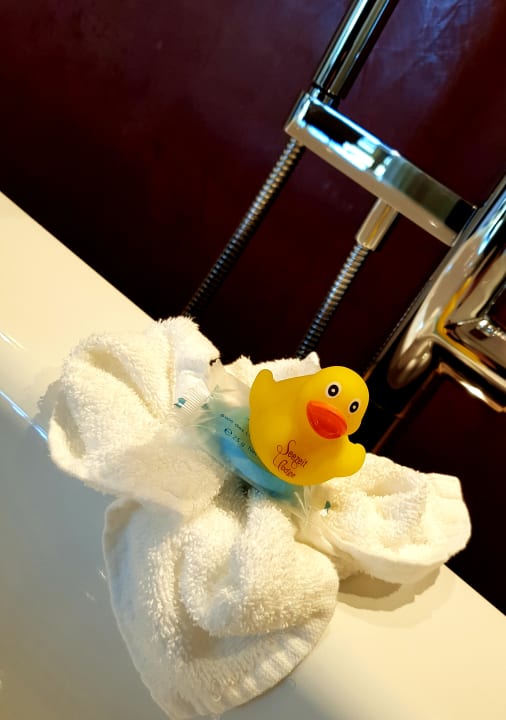 Zimmer Seezeitlodge Hotel & Spa