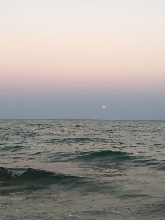 Strand Hotel Royal Nozha