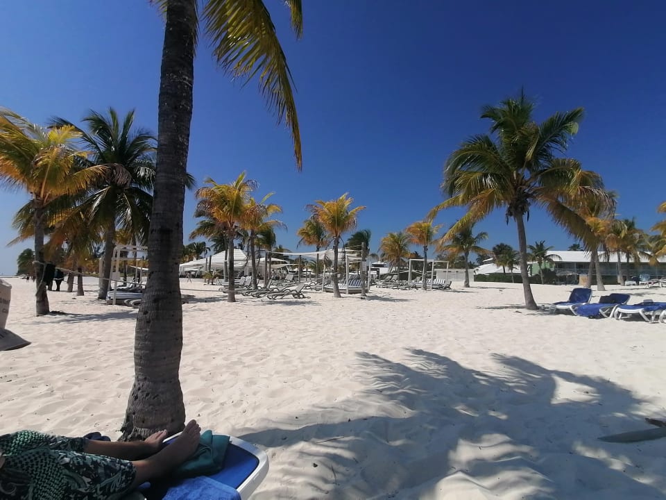 Strand Viva Fortuna Beach by Wyndham - All Inclusive Resort