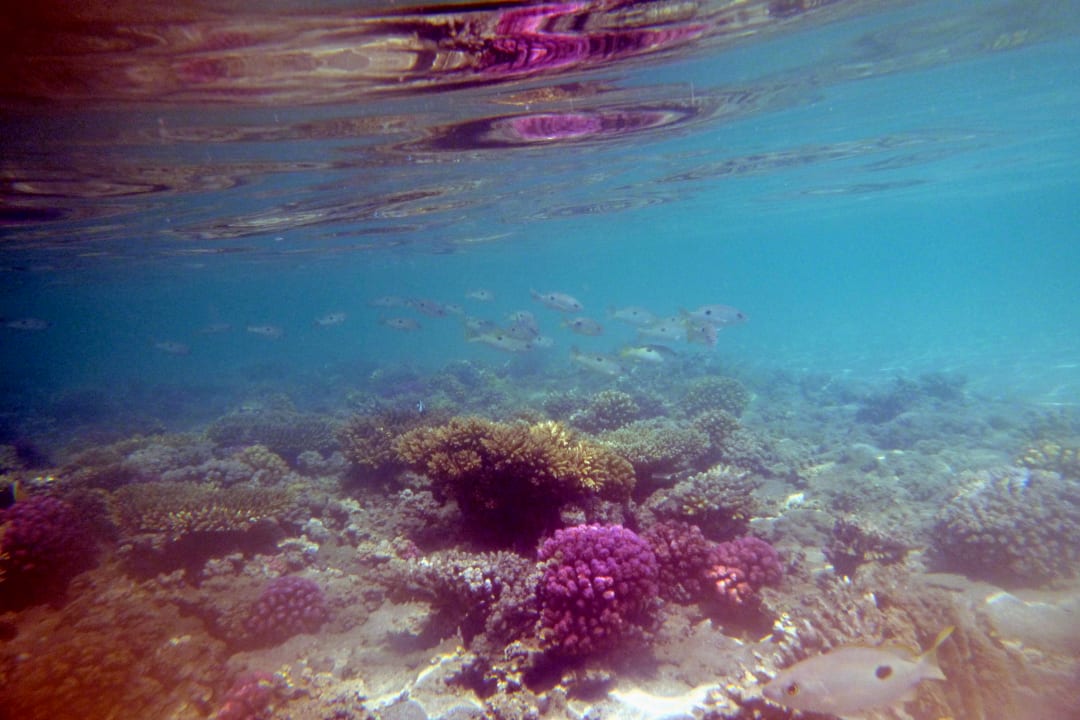 Strand Cleopatra Luxury Resort Makadi Bay