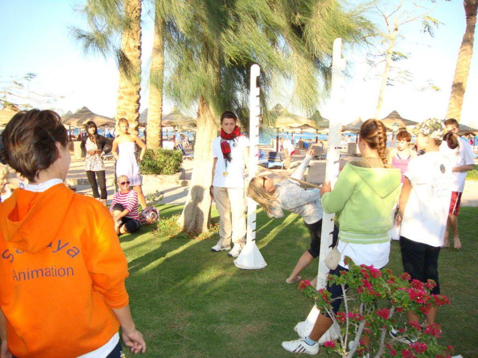 Олимпиада. Лимбо. Jaz Makadi Saraya Resort