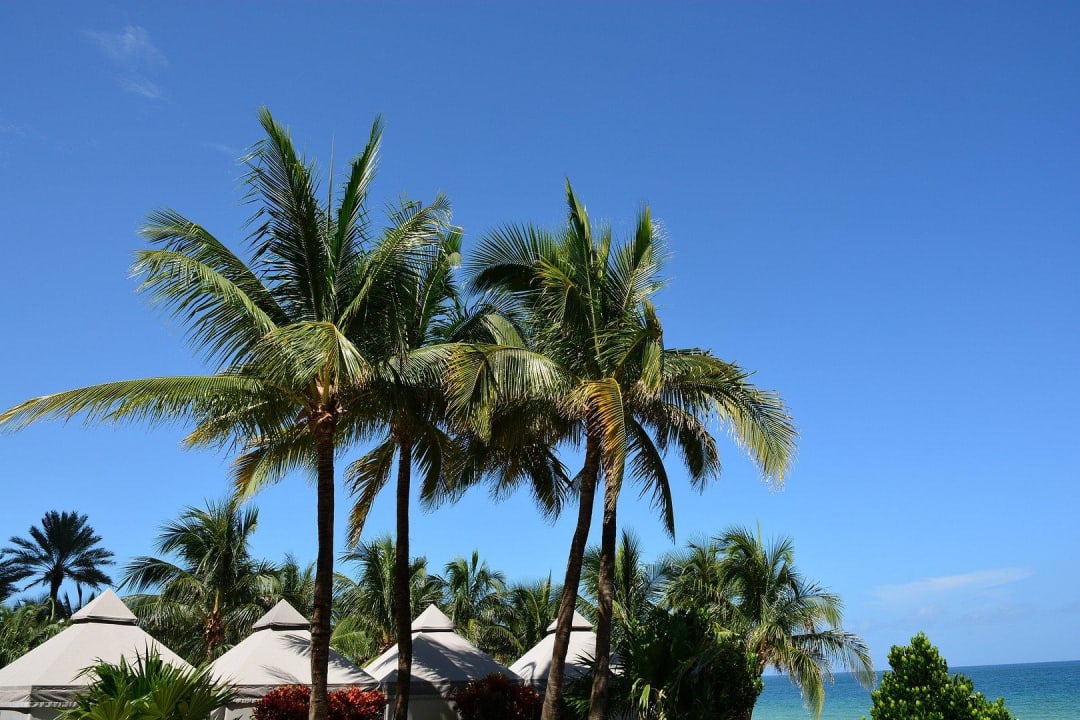 Von Süden Diplomat Resort & Spa Hollywood, Curio Collection by Hilton