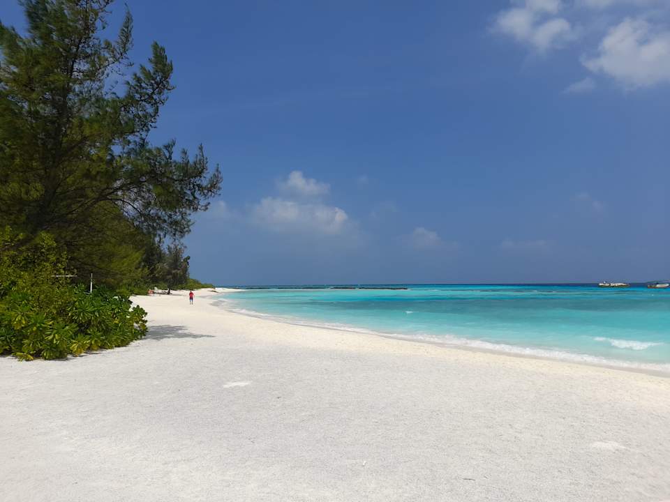 Strand Summer Island Maldives