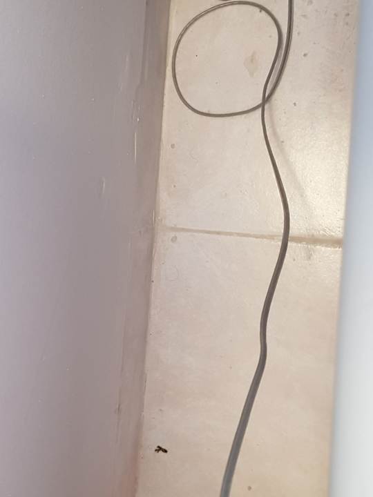 Zimmer Olympos Beach Hotel