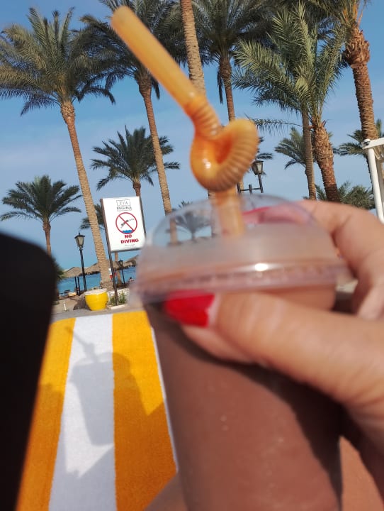 Gastro Regina Resort and Aqua Park Hurghada