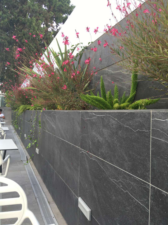 Gastro LABRANDA Marieta - Adults only