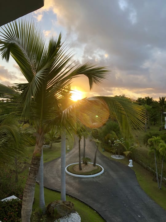Ausblick Meliá Caribe Beach Resort-All Inclusive