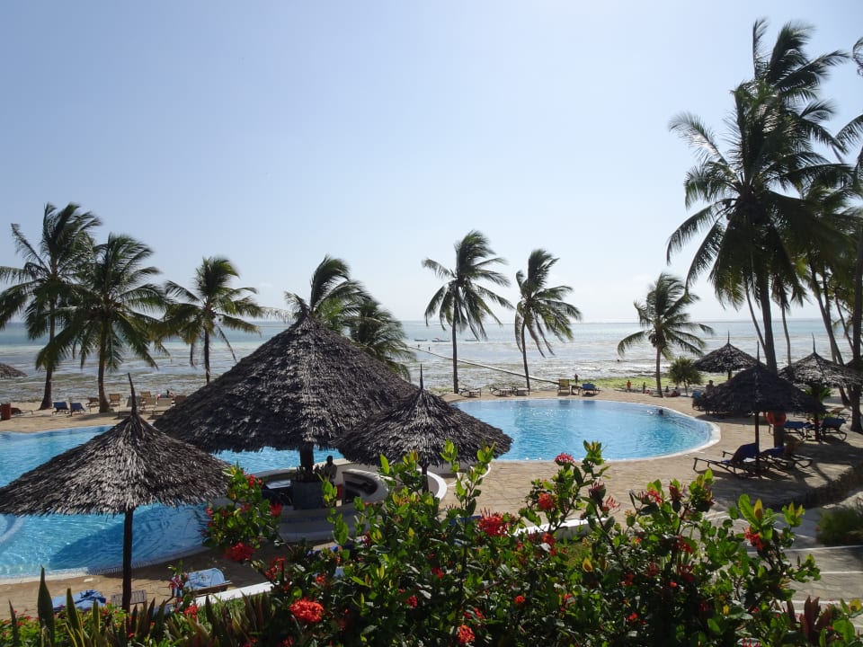 Pool Karafuu Beach Resort & Spa