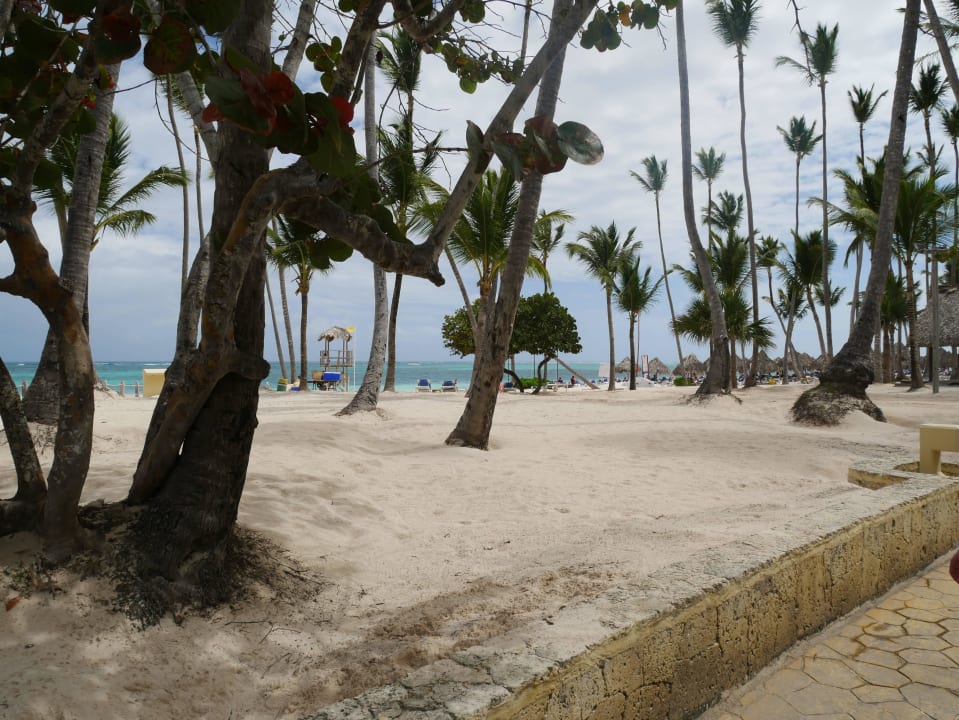 Strand Meliá Caribe Beach Resort-All Inclusive
