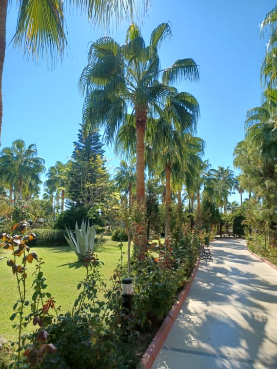 Gartenanlage Saphir Resort & Spa