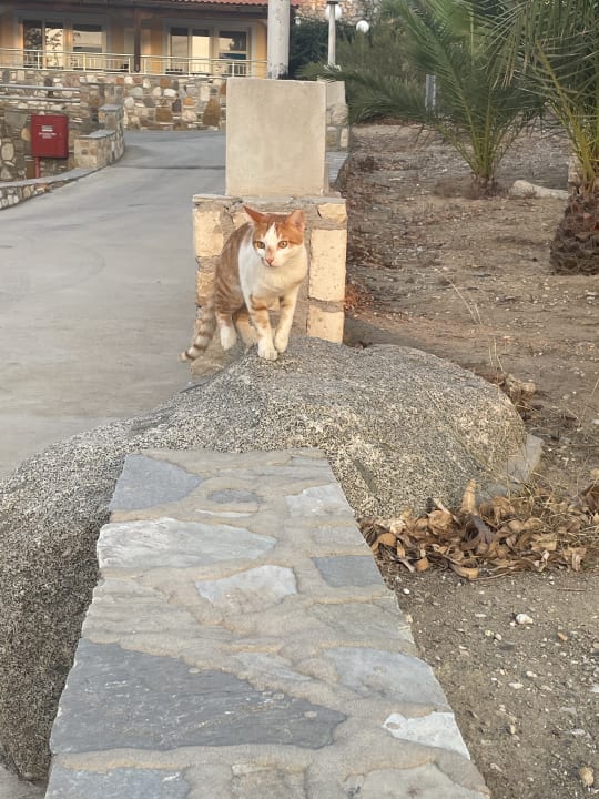 Sonstiges Hotel Kouros Palace