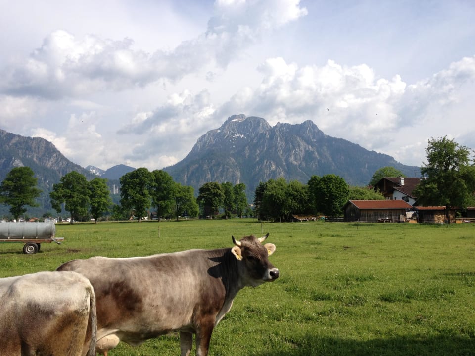 Tierische Nachbarn Frauenberghof