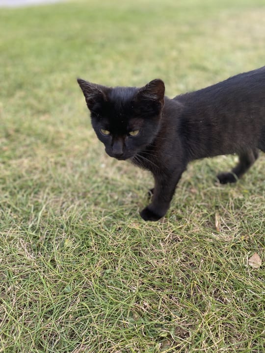 Sonstiges Wiesenberghof