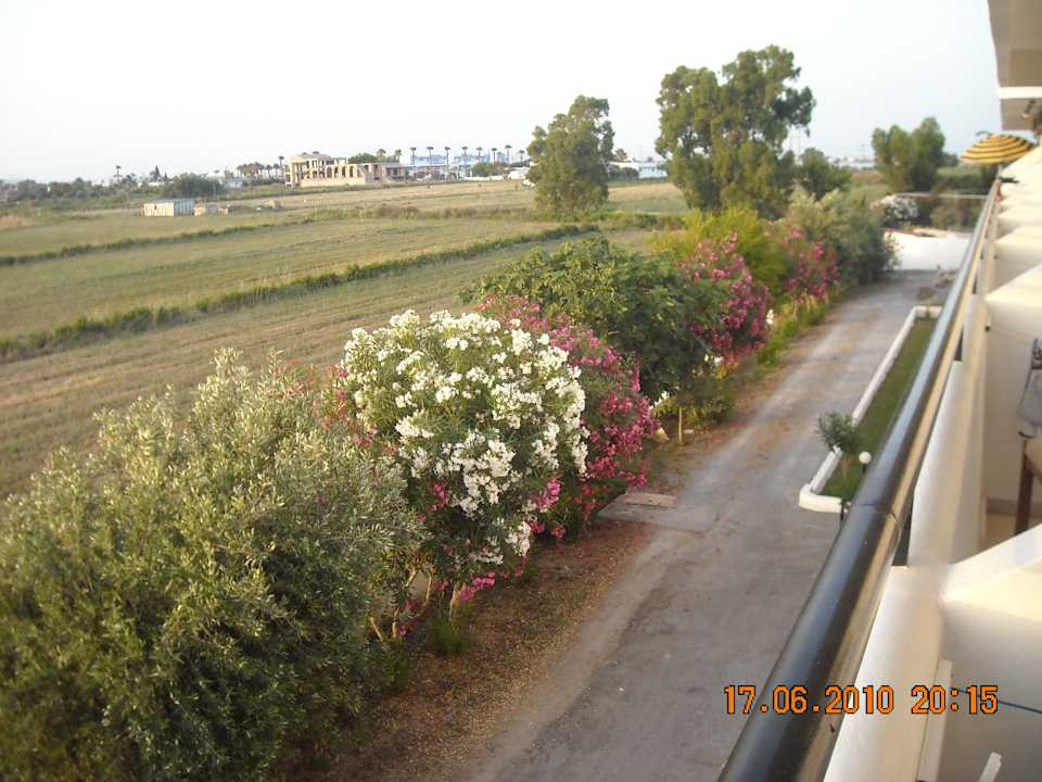 Hinterer Gartenteil vom Zimmer aus CAVO MEDITERRANEO HOTEL