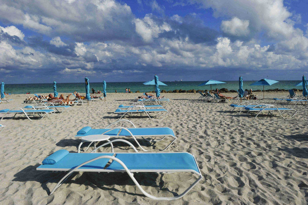 Strand mit ausreichend Liegen The Palms Hotel & Spa