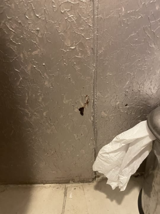 Zimmer Luna Beach Deluxe Hotel