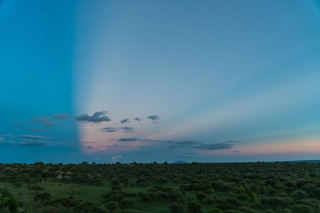 Ausblick Tarangire Safari Lodge
