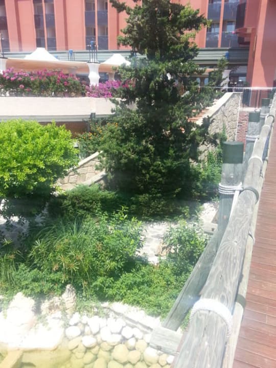 Terrasse AQI Pegasos Resort